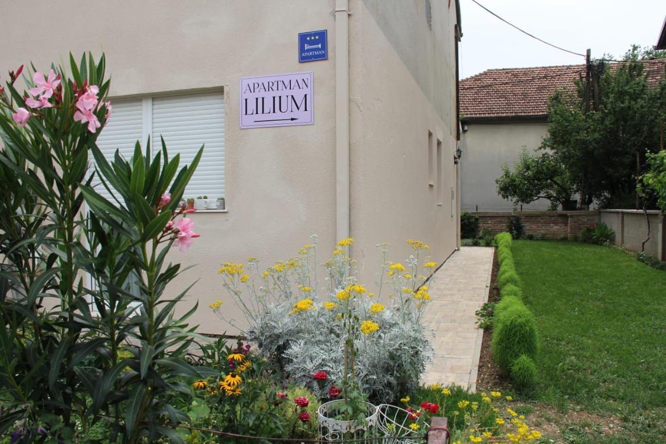 Apartman Lilium كنين المظهر الخارجي الصورة